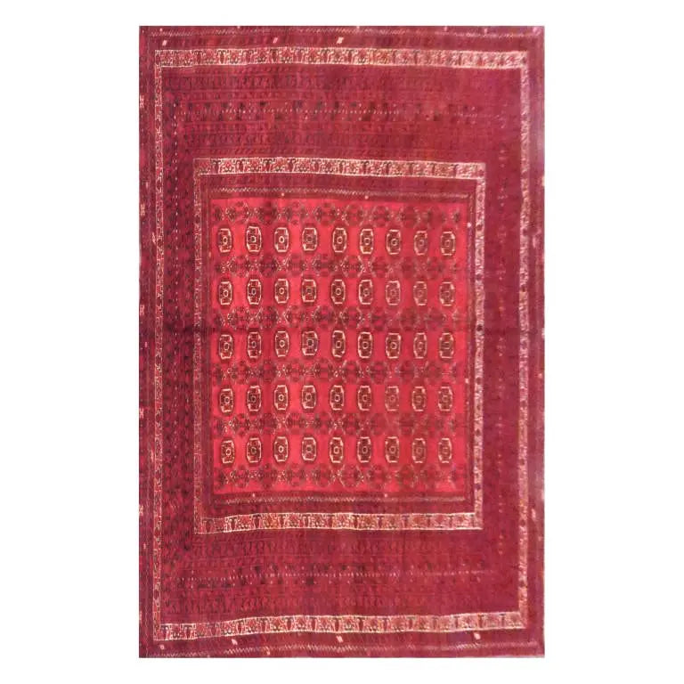 Afghani Khotan Rug 9' x 6'6" zandirugs